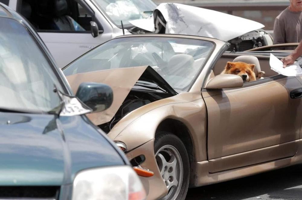 ������ ��������