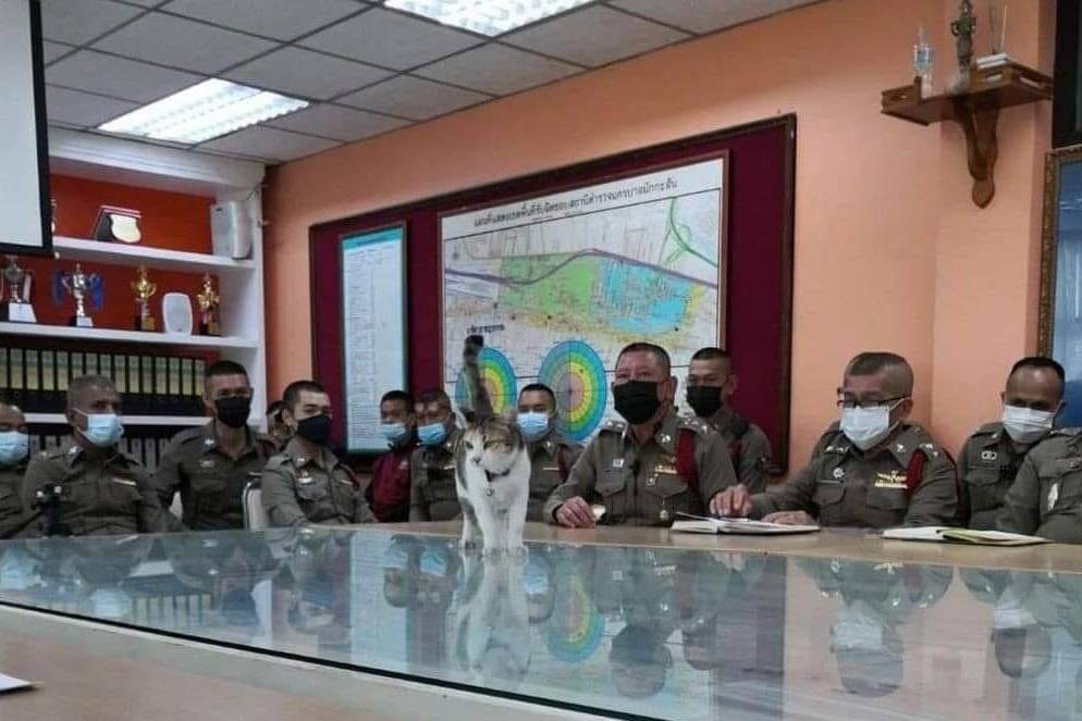 ������ ��������