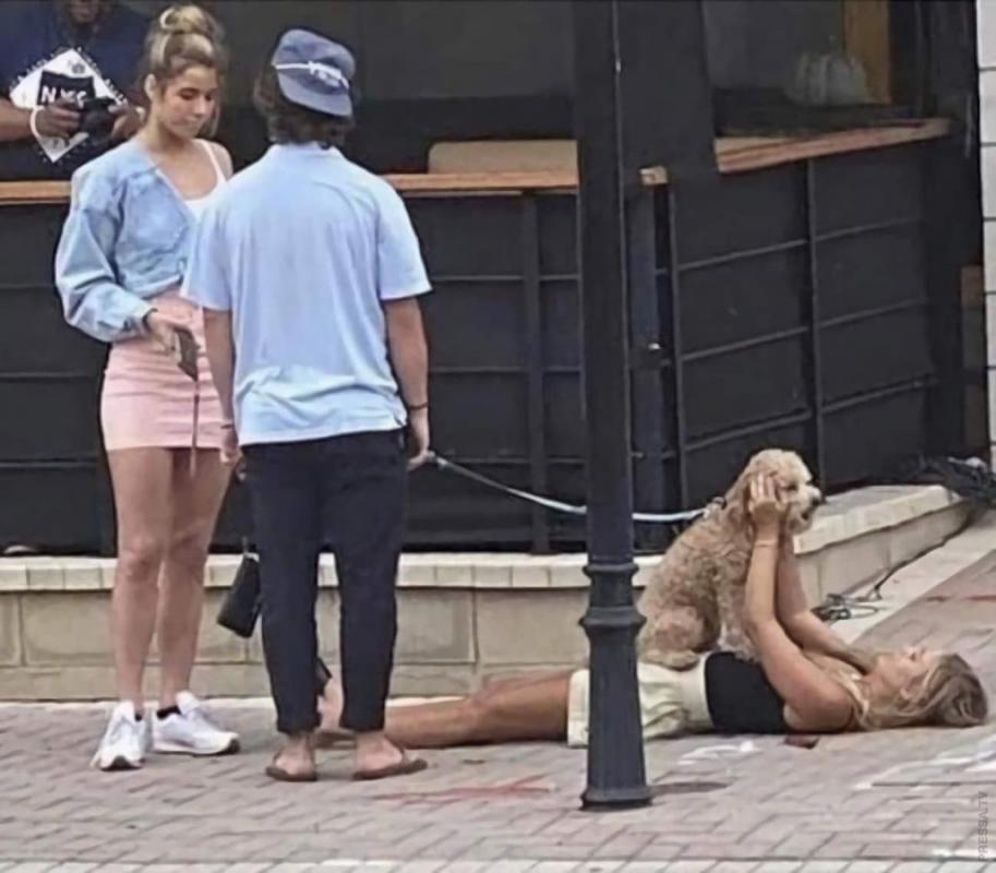 ������ ��������