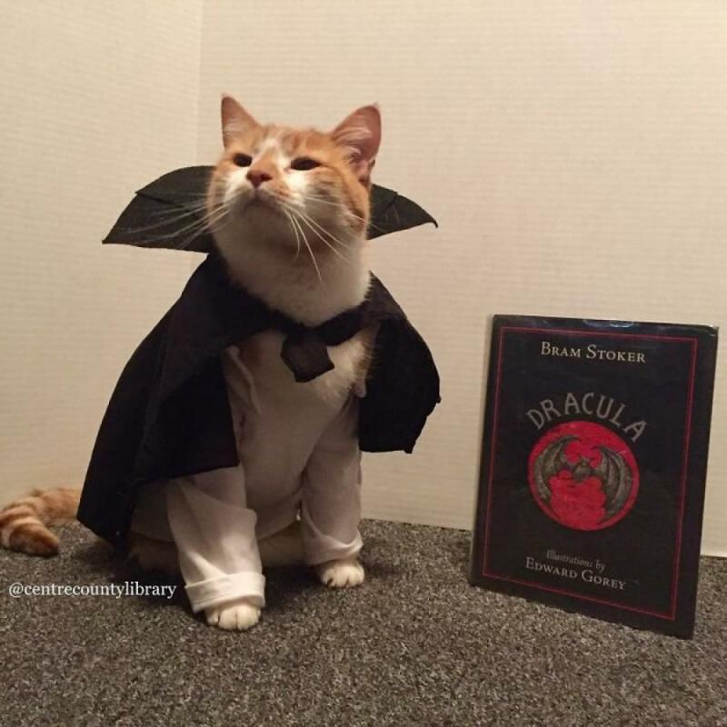 ������ ��������