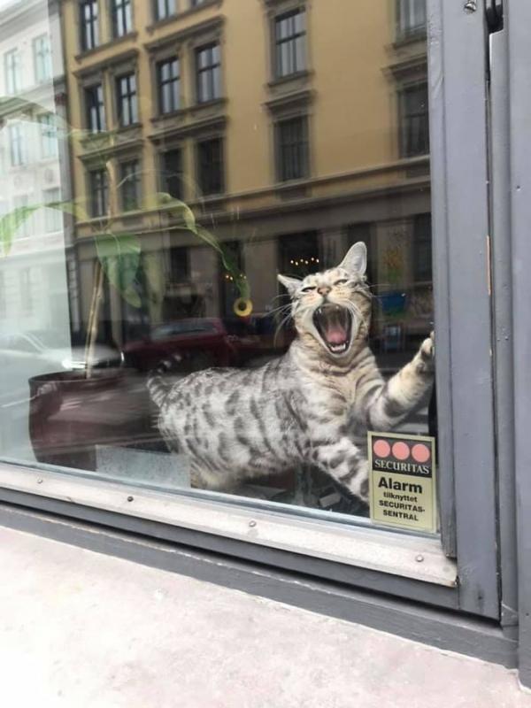 ������ ��������