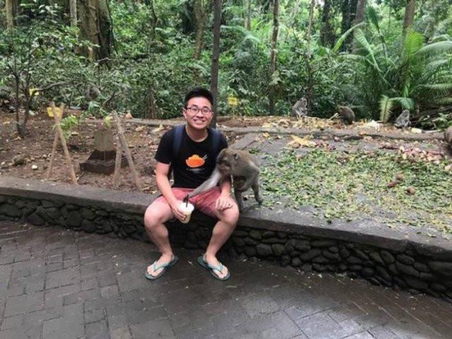 ������ ��������