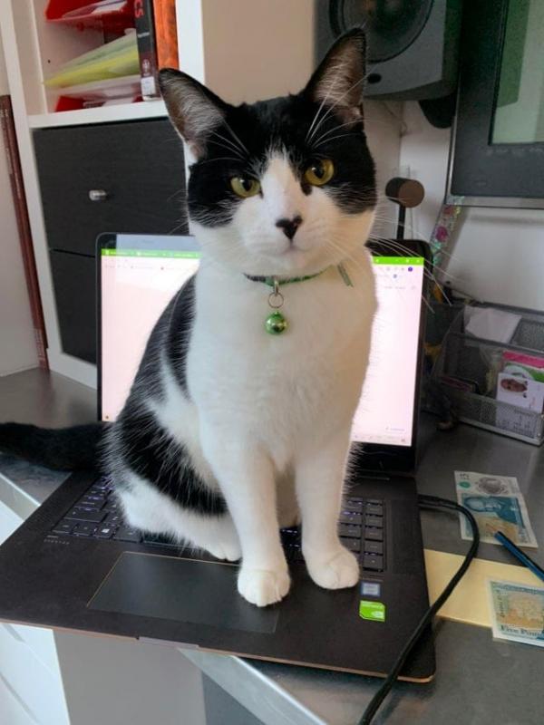 ������ ��������