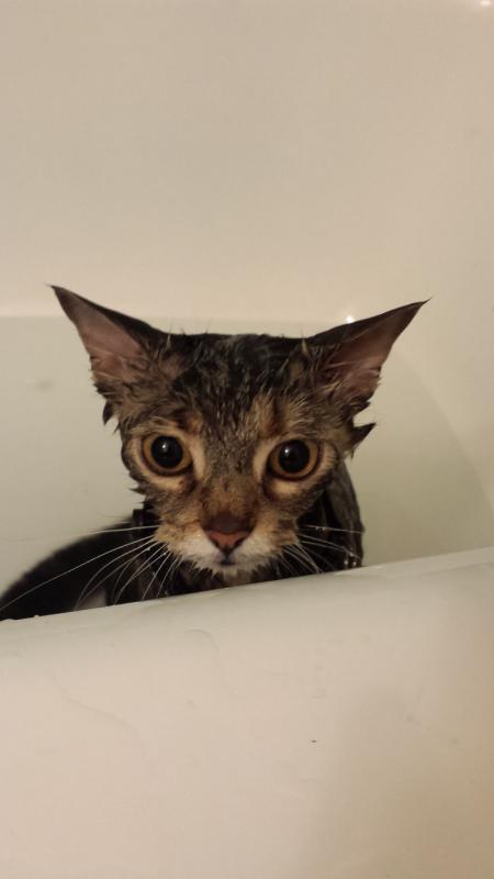 ������ ��������