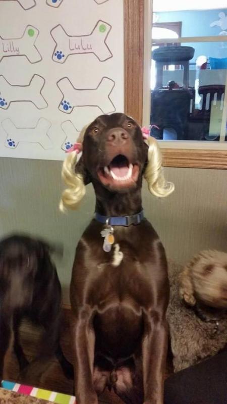 ������ ��������