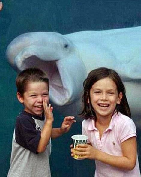 ������ ��������