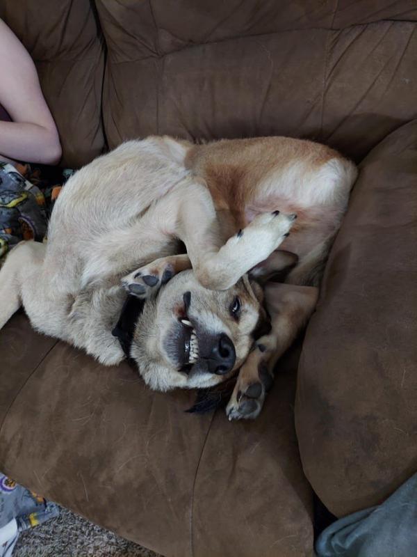 ������ ��������