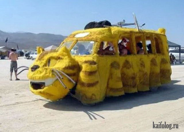 ������ ��������