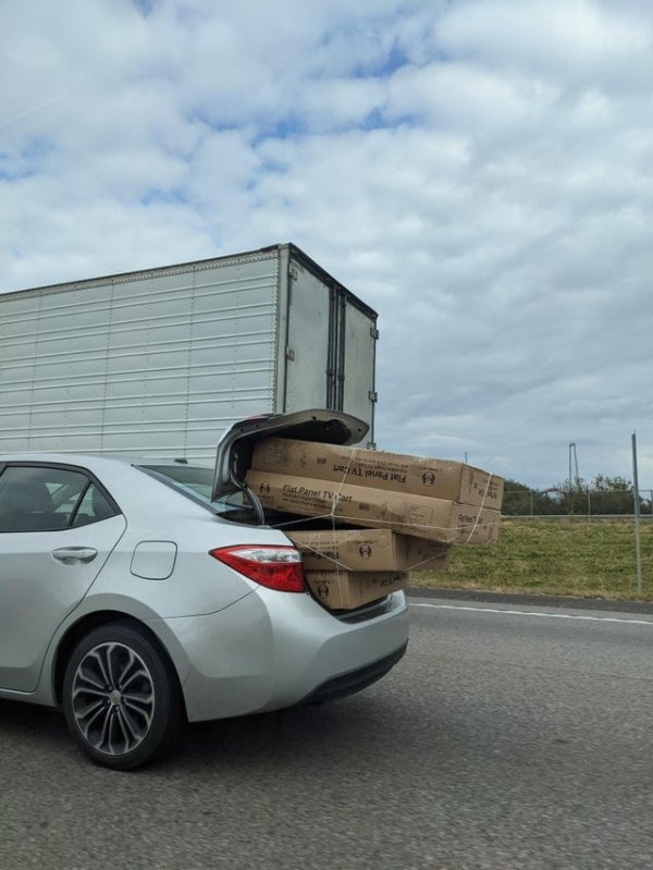 ������ ��������