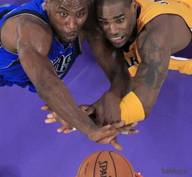 ������ ��������