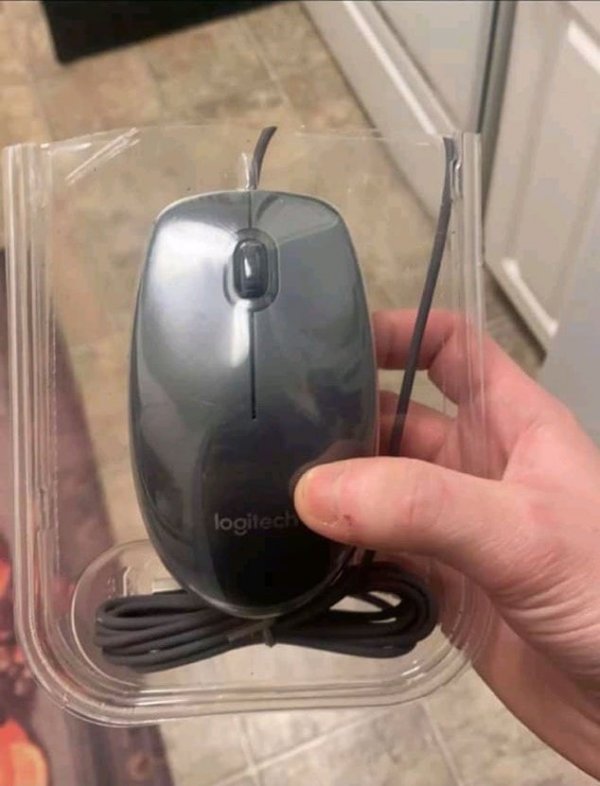 ������ ��������