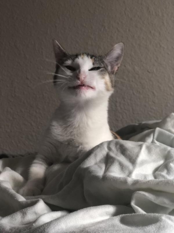 ������ ��������