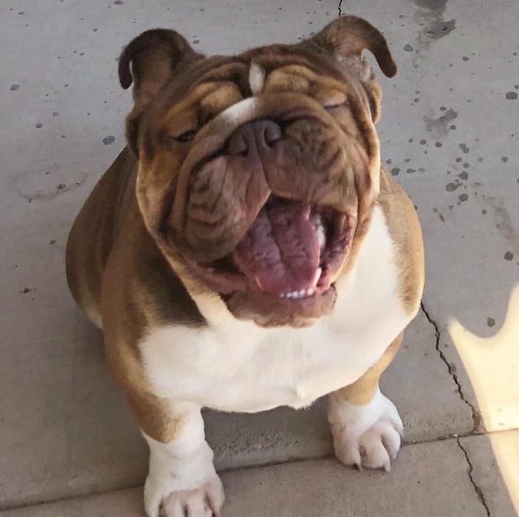 ������ ��������