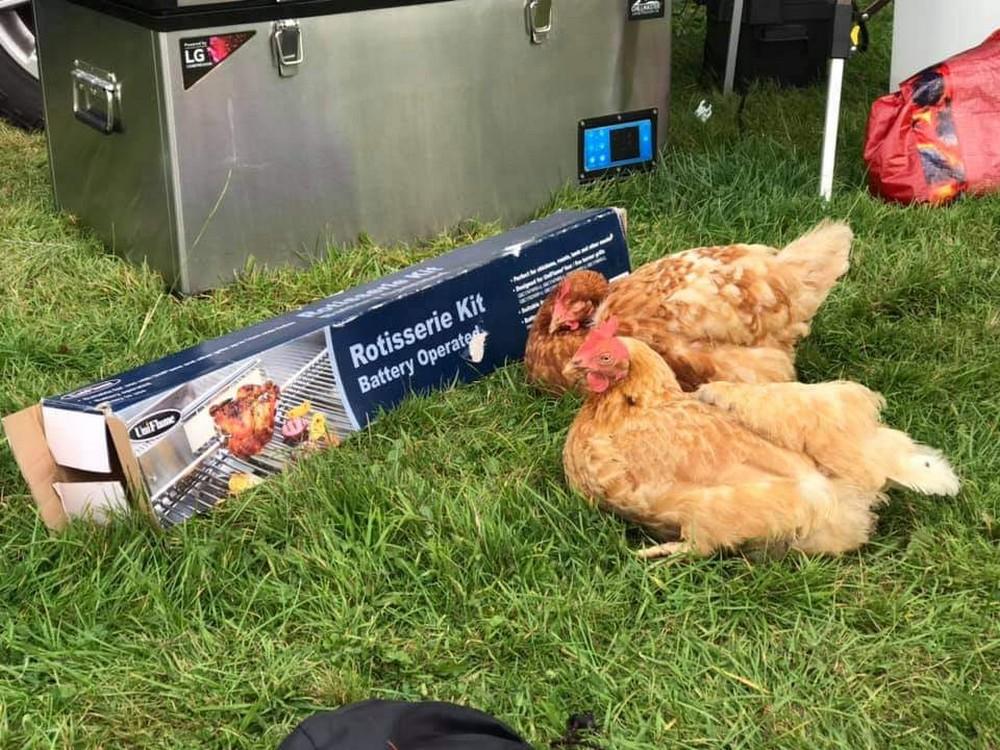 ������ ��������