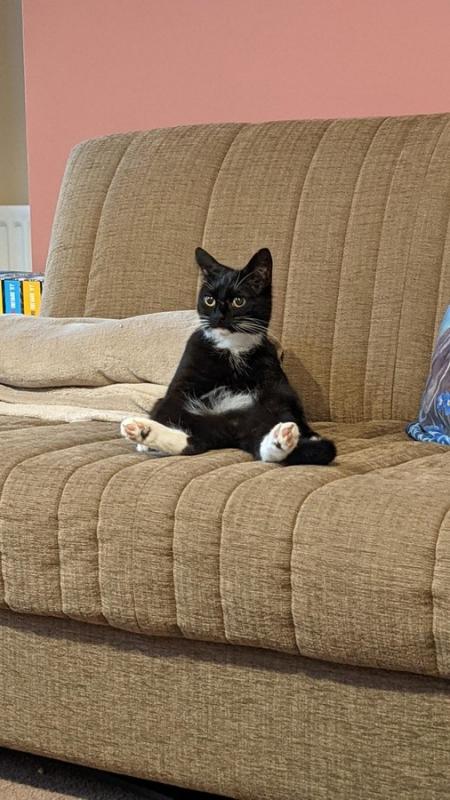 ������ ��������