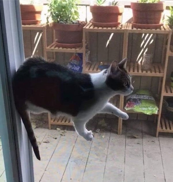 ������ ��������