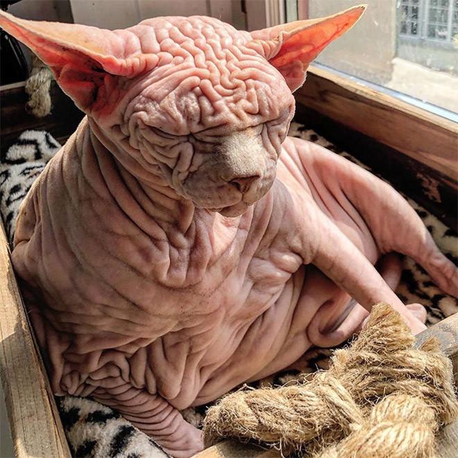 ������ ��������