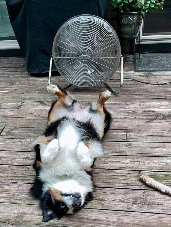 ������ ��������