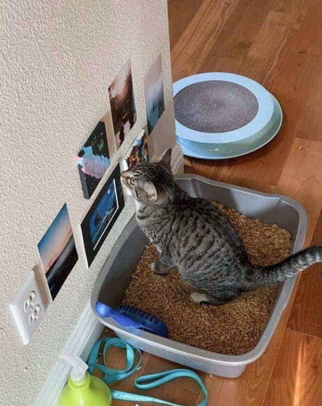 ������ ��������