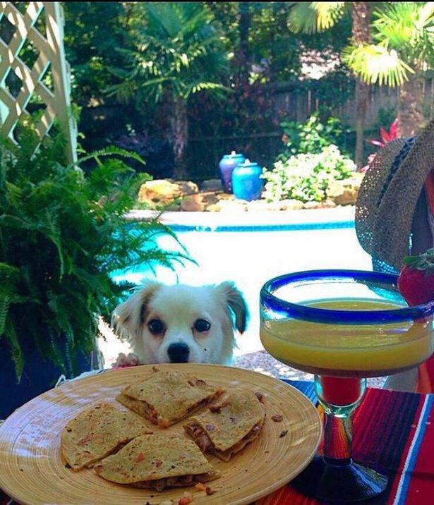 ������ ��������