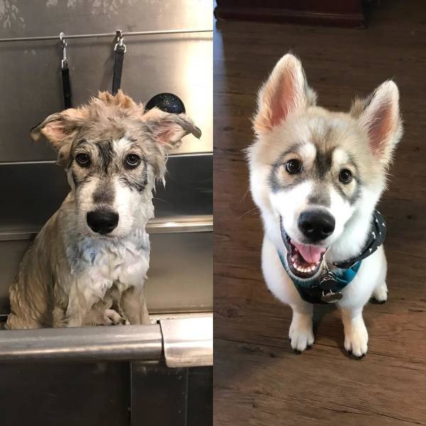 ������ ��������