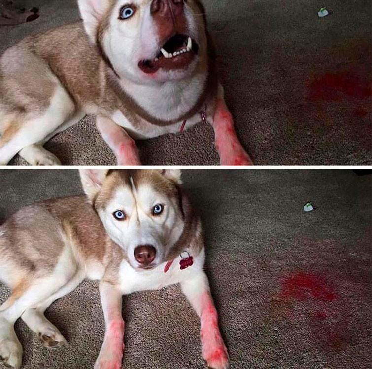 ������ ��������