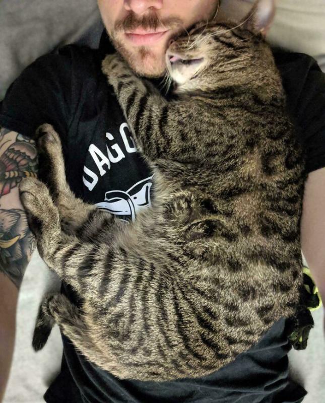 ������ ��������