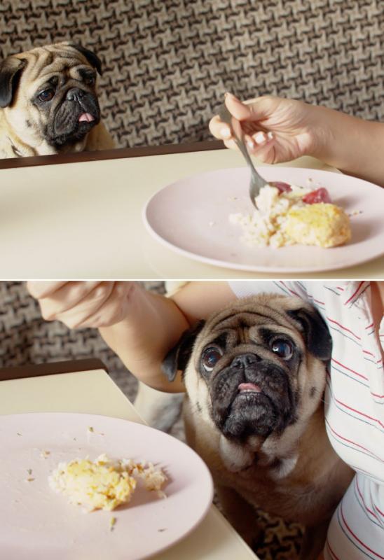 ������ ��������