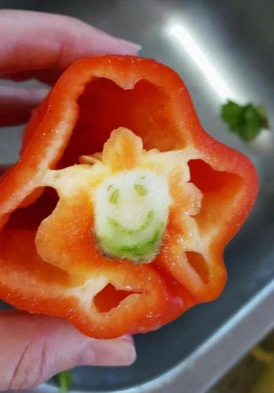 ������ ��������