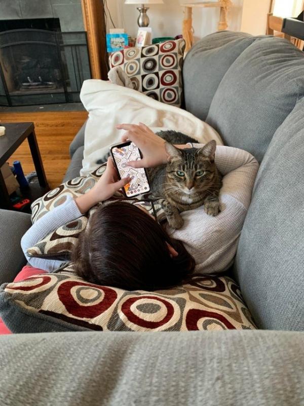 ������ ��������