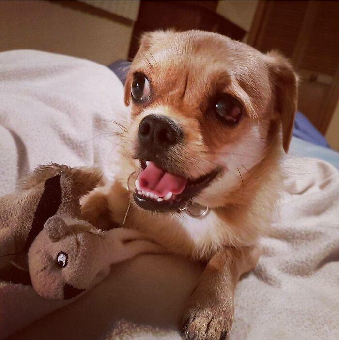 ������ ��������