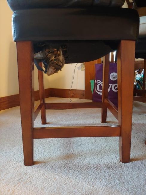 ������ ��������