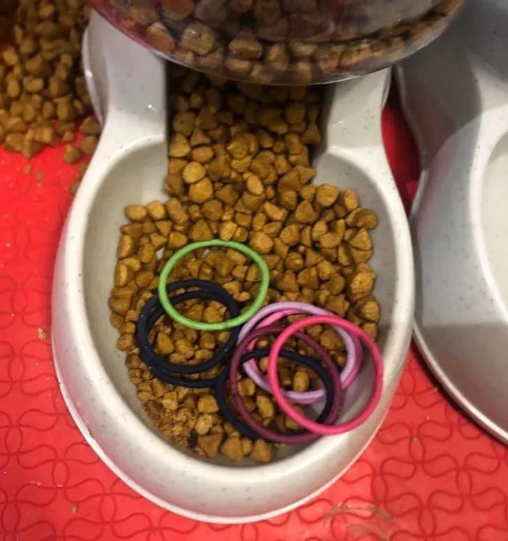 ������ ��������