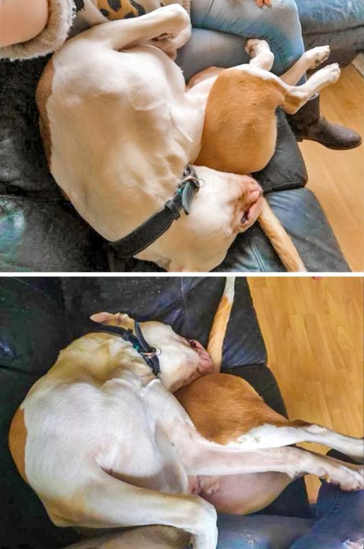 ������ ��������