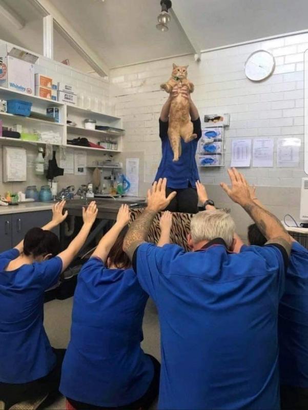 ������ ��������