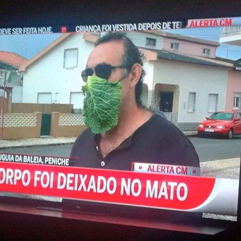 ������ ��������