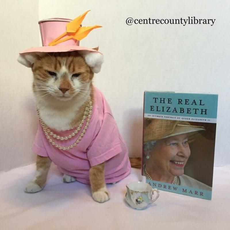 ������ ��������