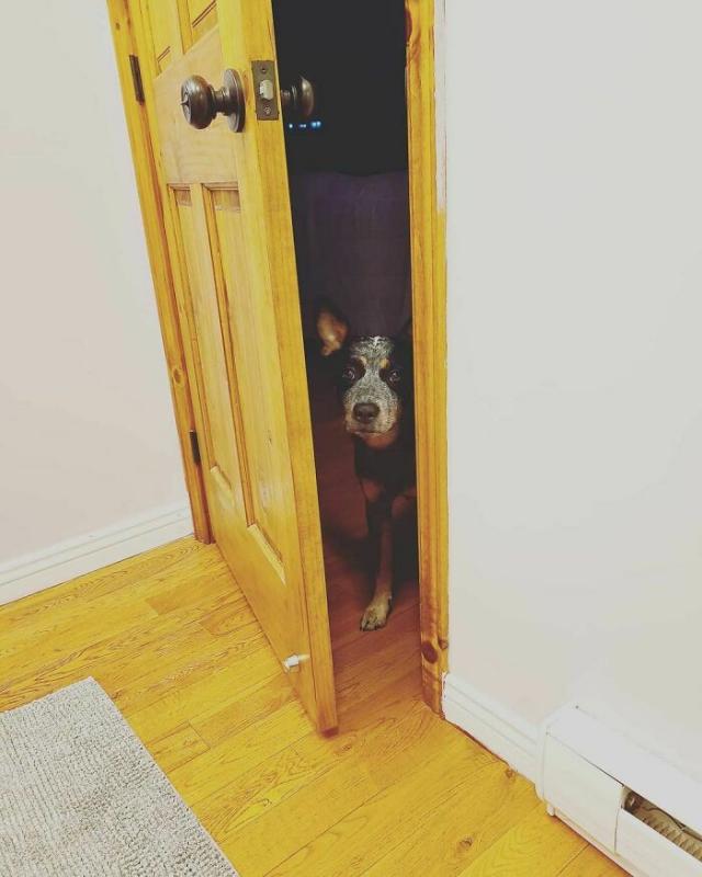 ������ ��������