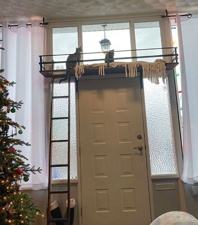 ������ ��������