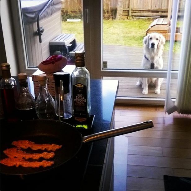 ������ ��������