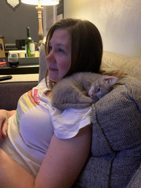 ������ ��������