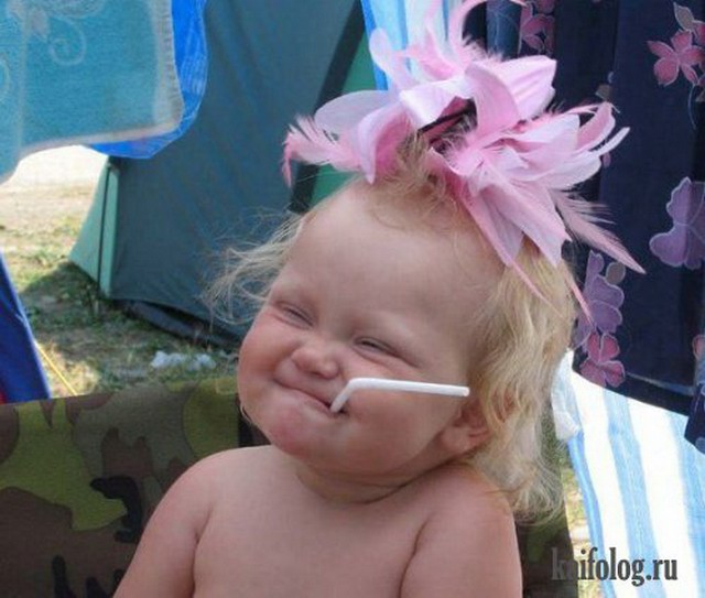 ������ ��������