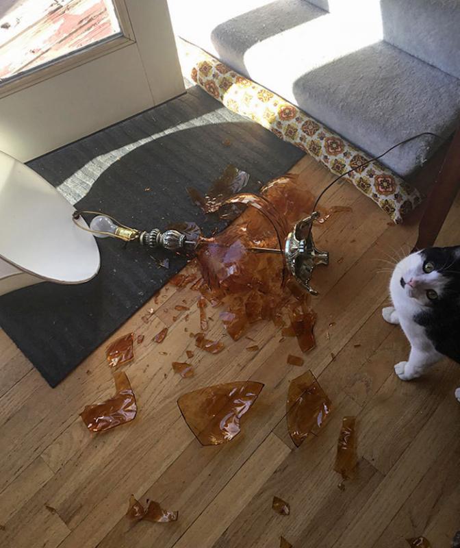 ������ ��������