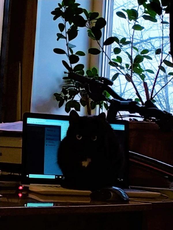 ������ ��������