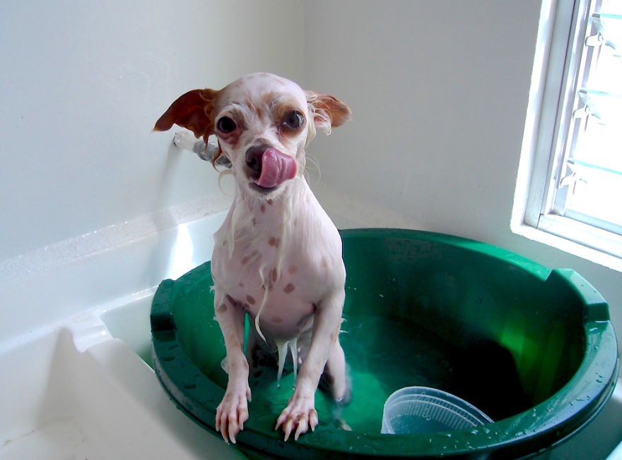 ������ ��������