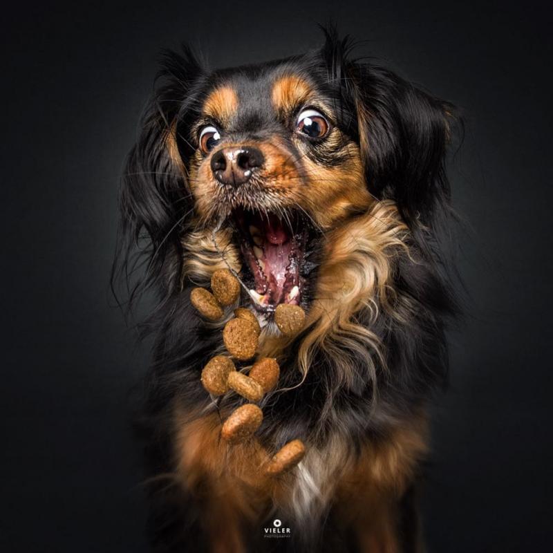 ������ ��������