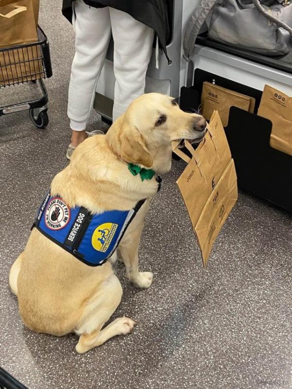 ������ ��������