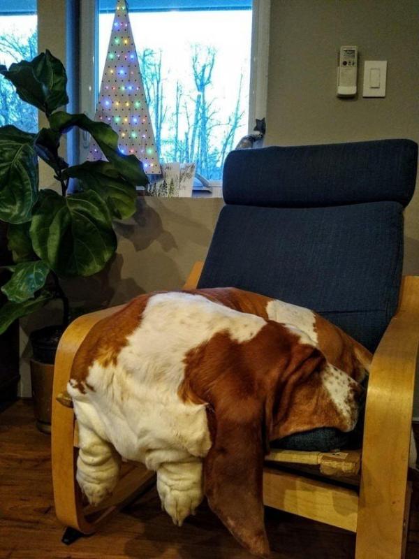 ������ ��������