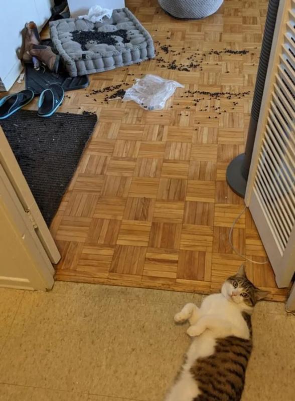 ������ ��������