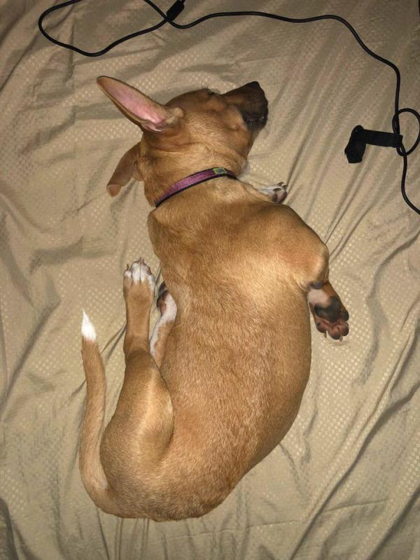 ������ ��������